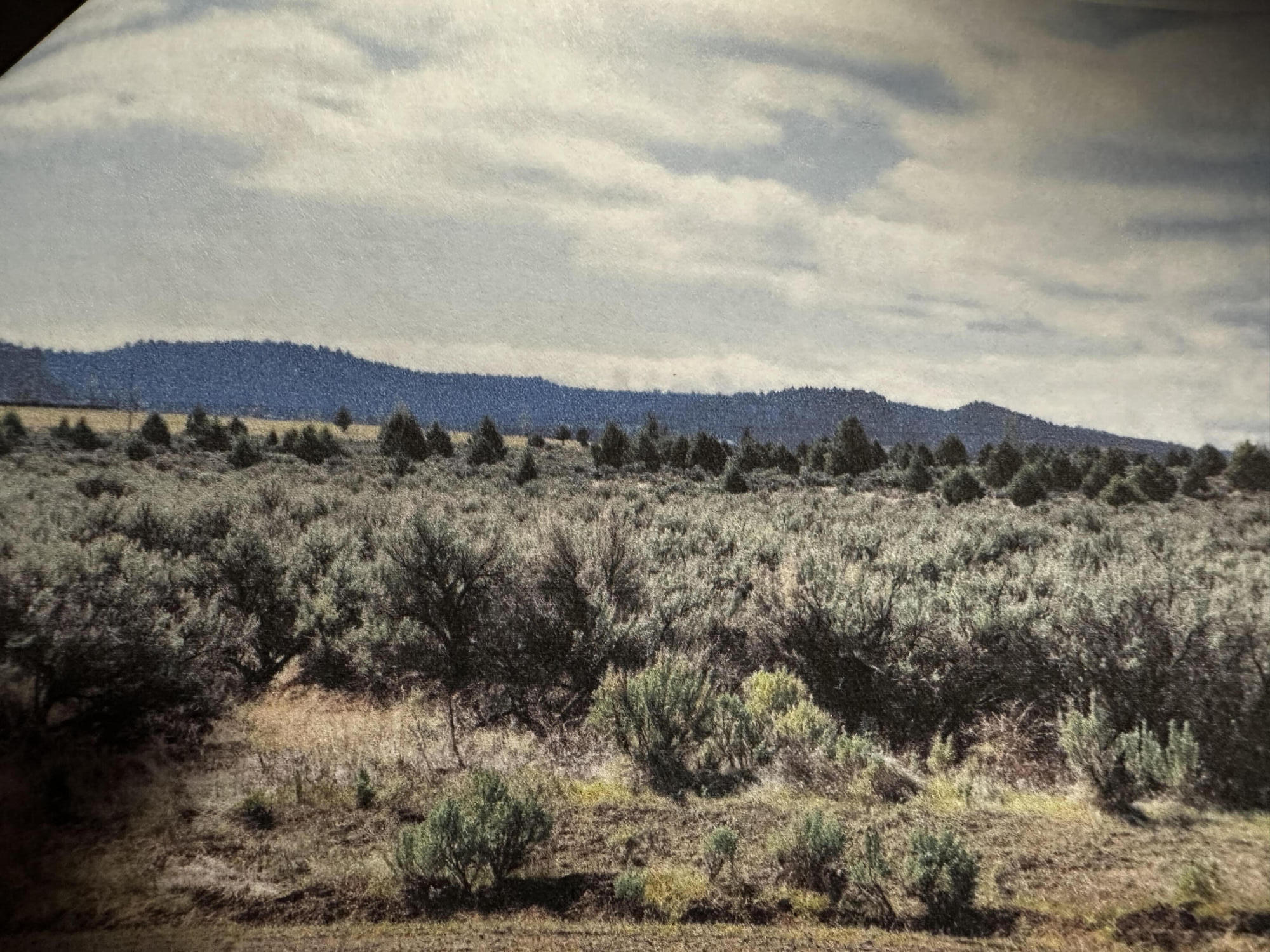 Off Fossil Lake Road TL 1000