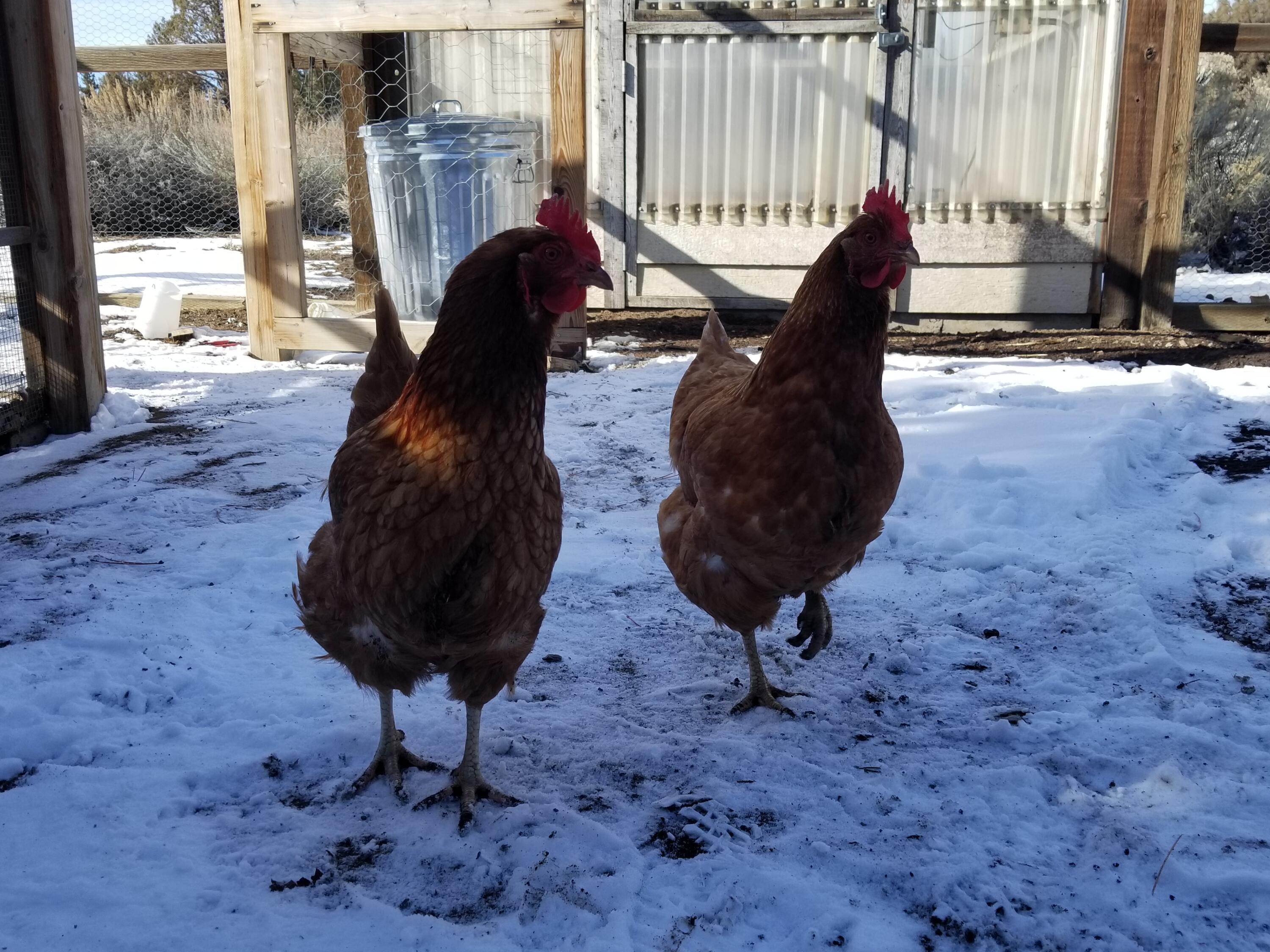 Fryrear Ranch - Residential