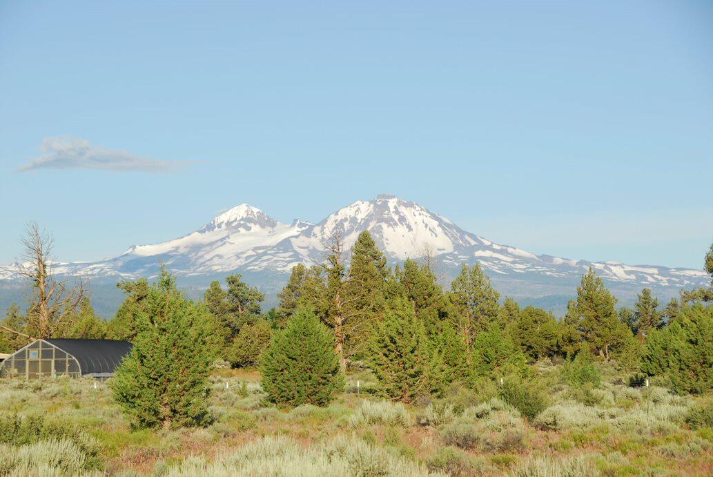 Fryrear Ranch - Residential