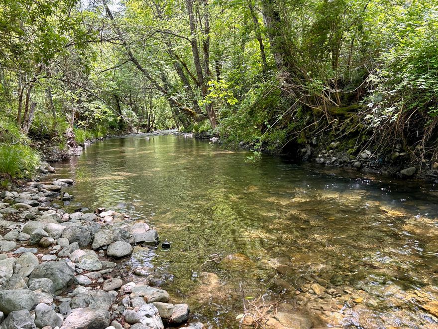 A rare creek-front parcel that is perfect for anyone looking to build a nature-filled retreat. The flat, usable space and mature trees would make for a peaceful environment, especially with Williams Creek backing up to it. With the installed 18 GPM well and septic approval already in place, a lot of the groundwork for building has been done. Plus, the fact that power is available at the property line and owner-carry terms are an option makes it even more attractive.