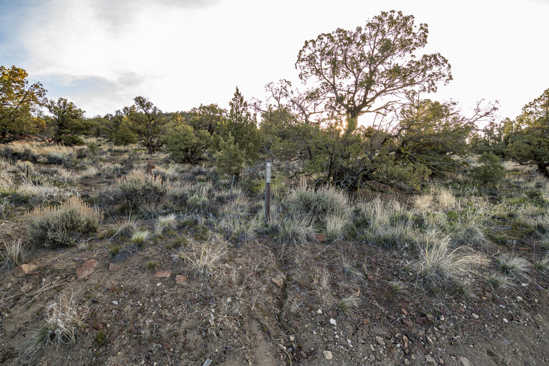 Brasada Ranch - Land