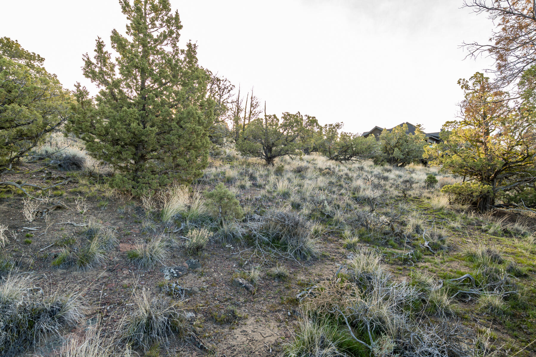 Brasada Ranch - Land