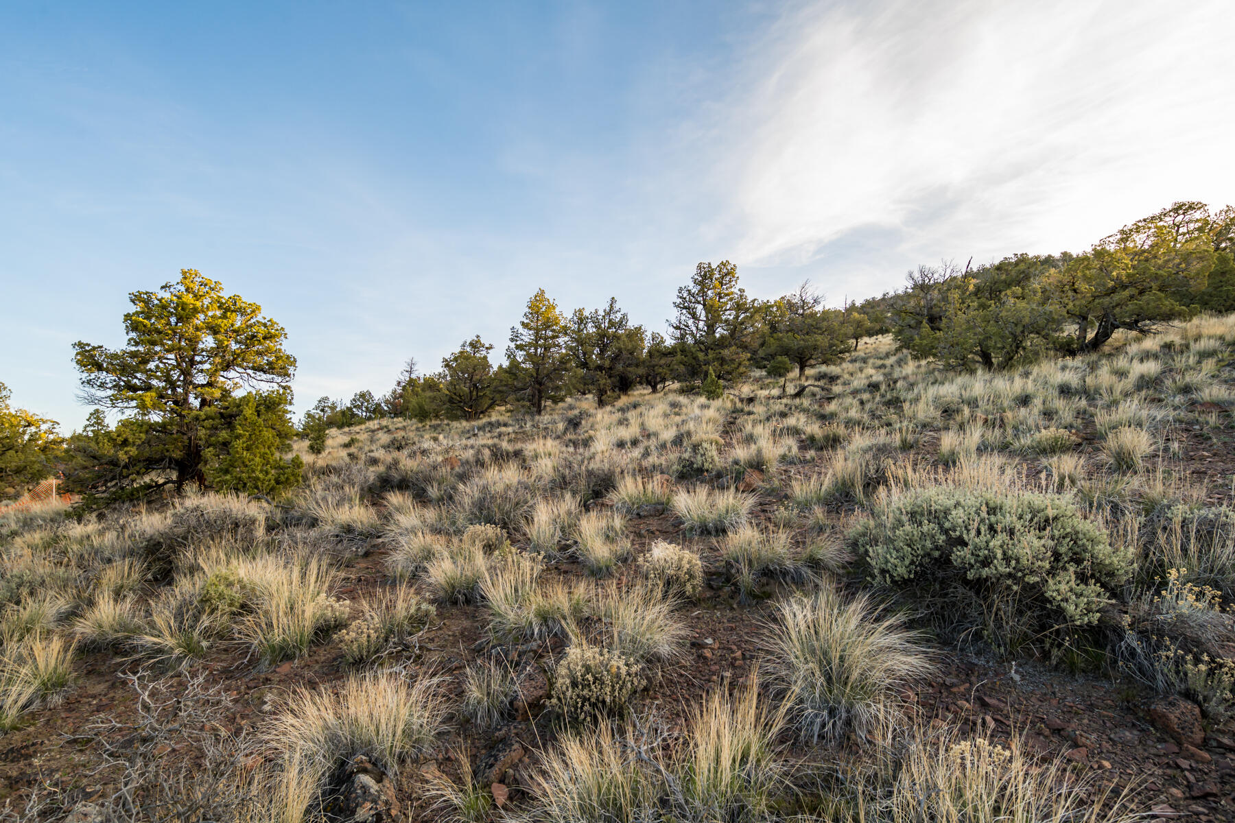 Brasada Ranch - Land