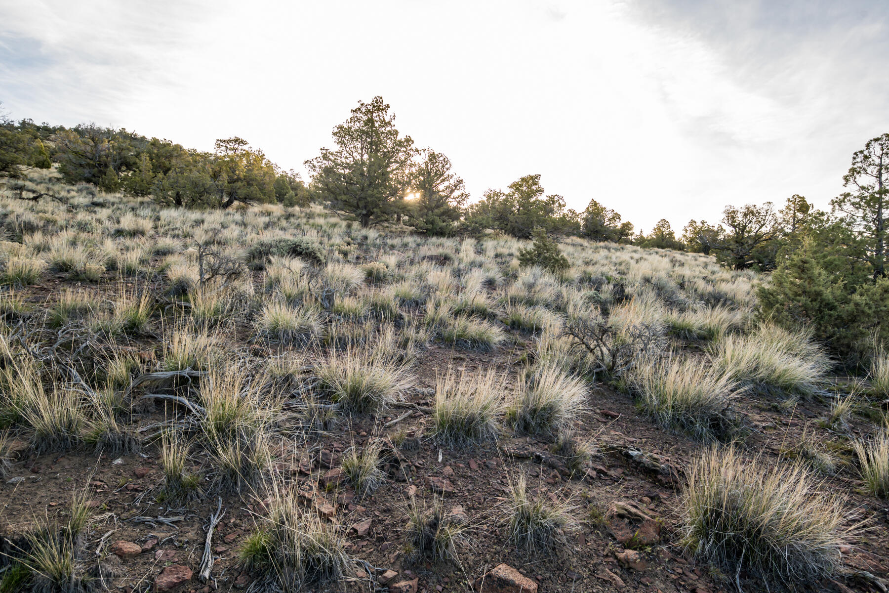 Brasada Ranch - Land