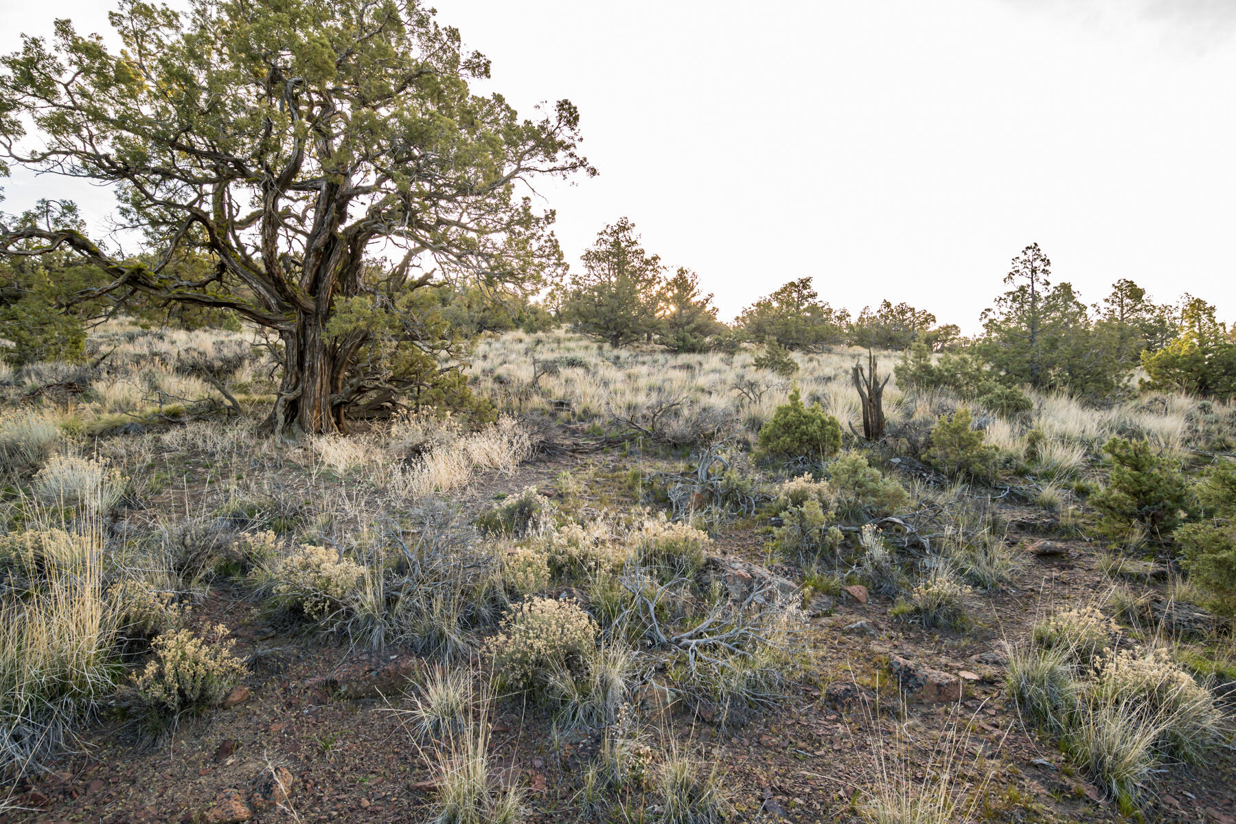 Brasada Ranch - Land