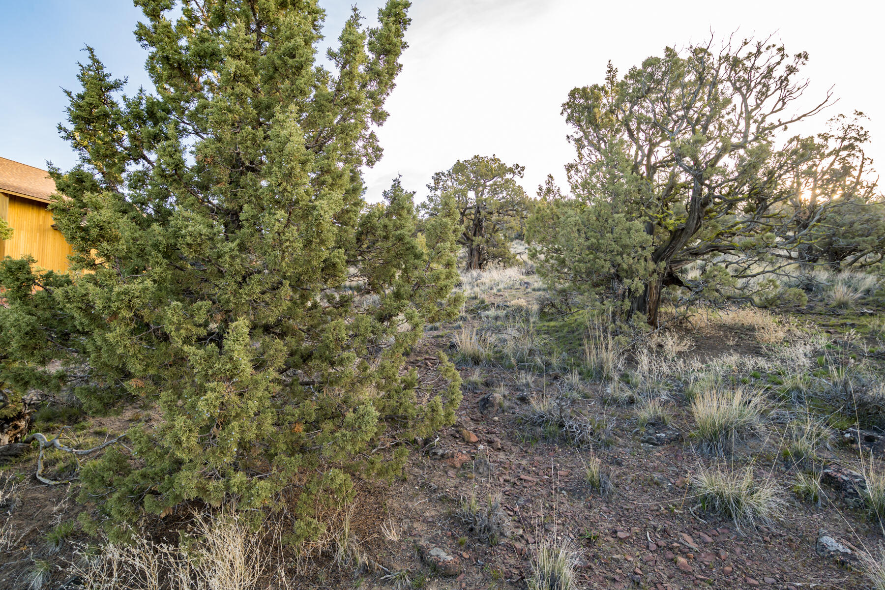 Brasada Ranch - Land