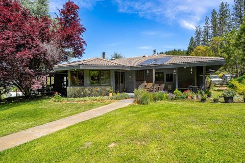 Photo of 1247 Panther Gulch Road, Williams, OR 97544 (MLS # 220217471)