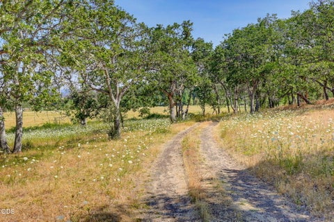 Tiny photo for 4001 S Fork Little Butte Creek Road, Eagle Point, OR 97524 (MLS # 220226512)
