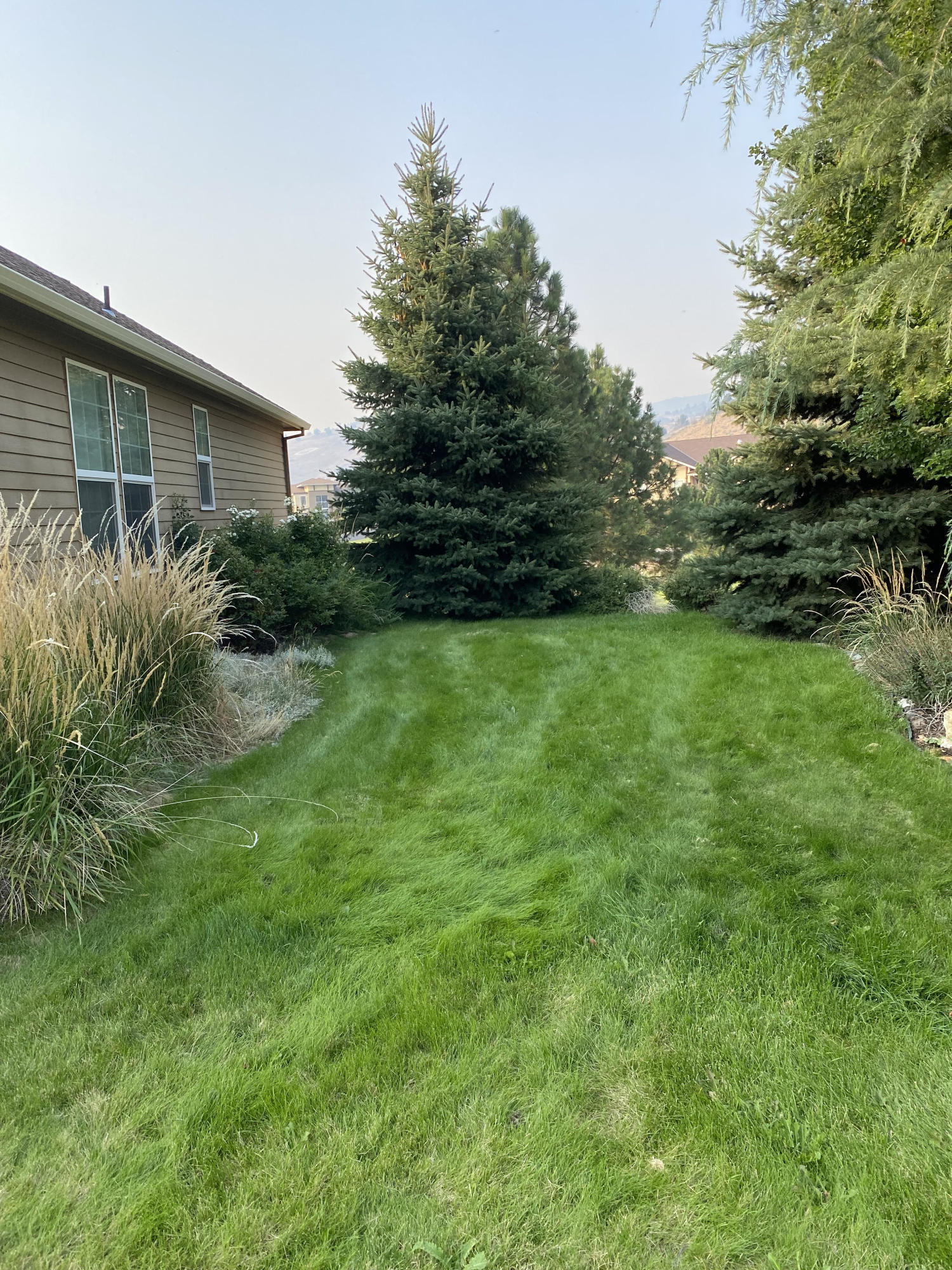 Crown Ridge -Phase 1 - Residential