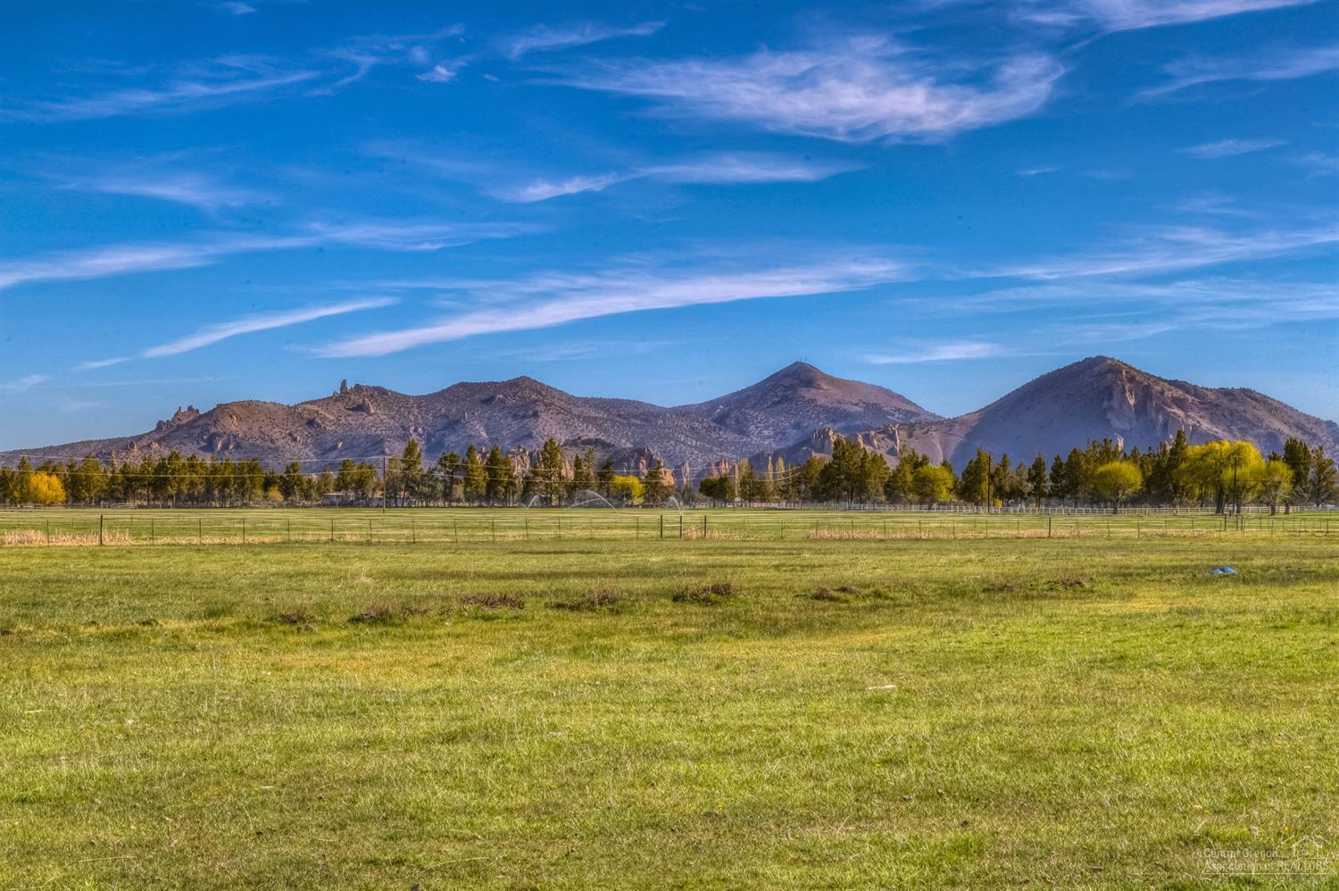 Rencher Ranch Estate - Land