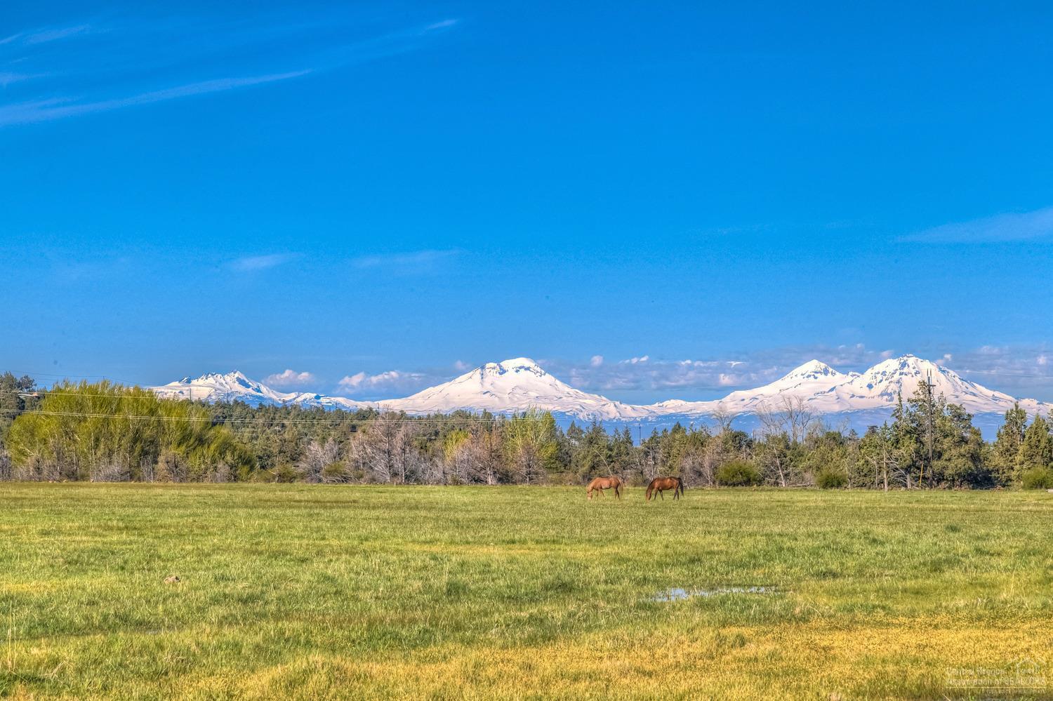 Rencher Ranch Estate - Land