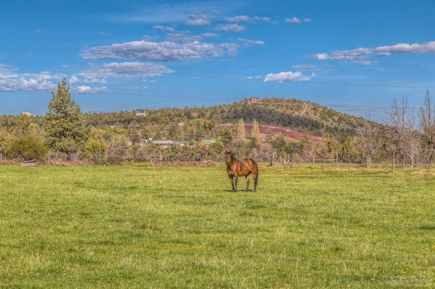 Rencher Ranch Estate - Land