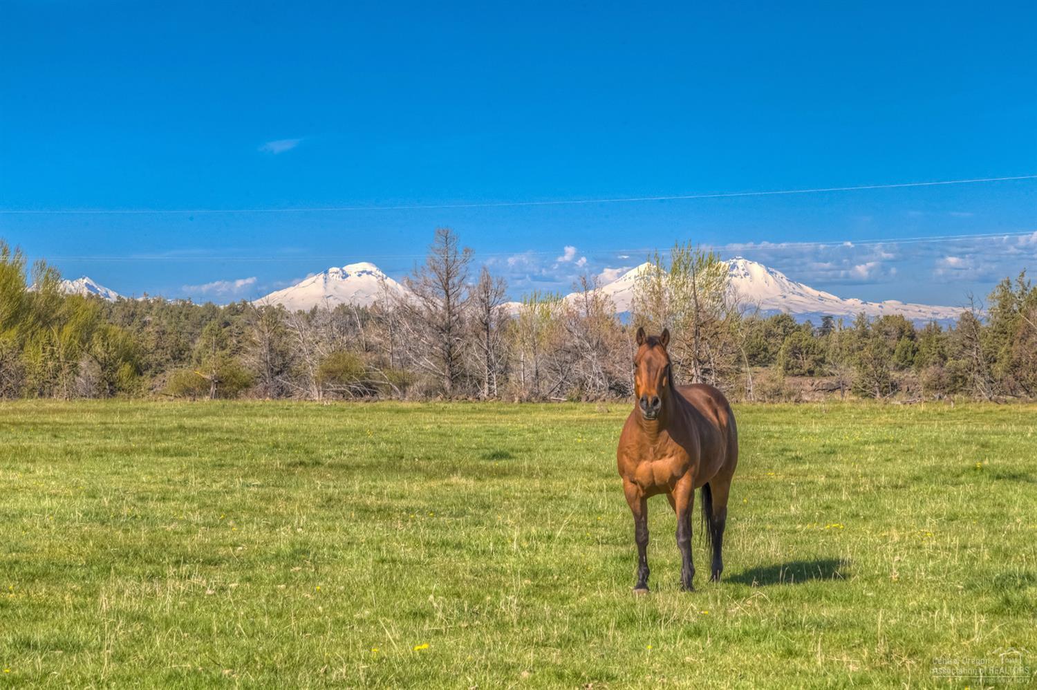 Rencher Ranch Estate - Land