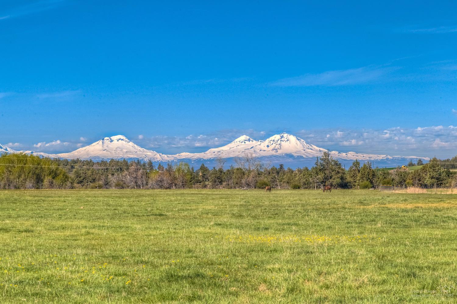 Rencher Ranch Estate - Land