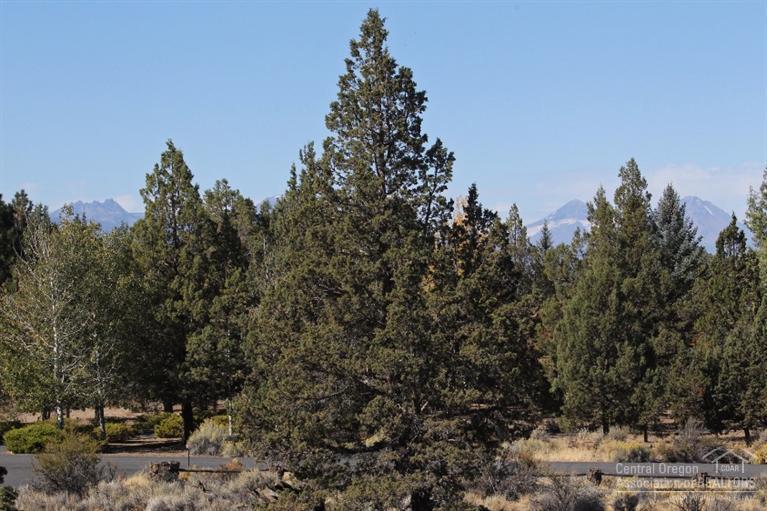 Boonesborough - Residential