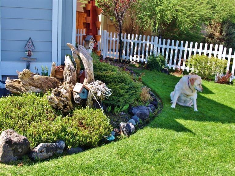 Forrest Commons - Residential