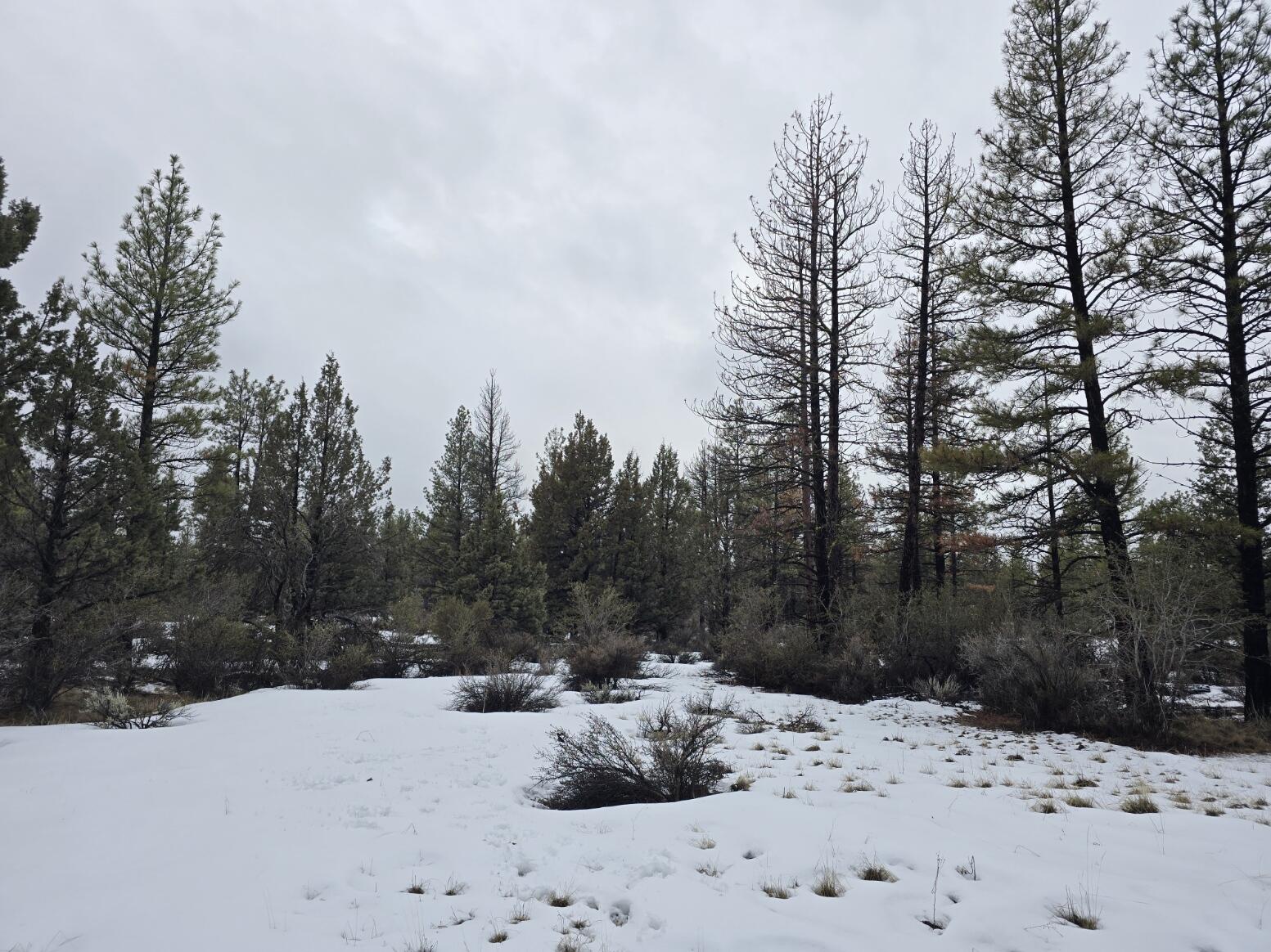 Klamath Forest Estates -First Addition - Land