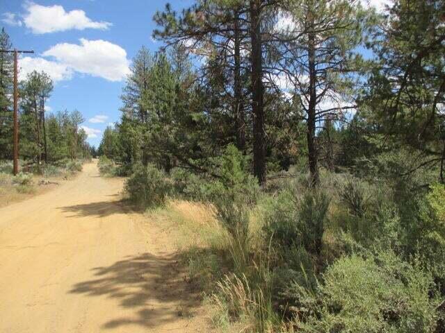 Klamath Forest Estates -First Addition - Land