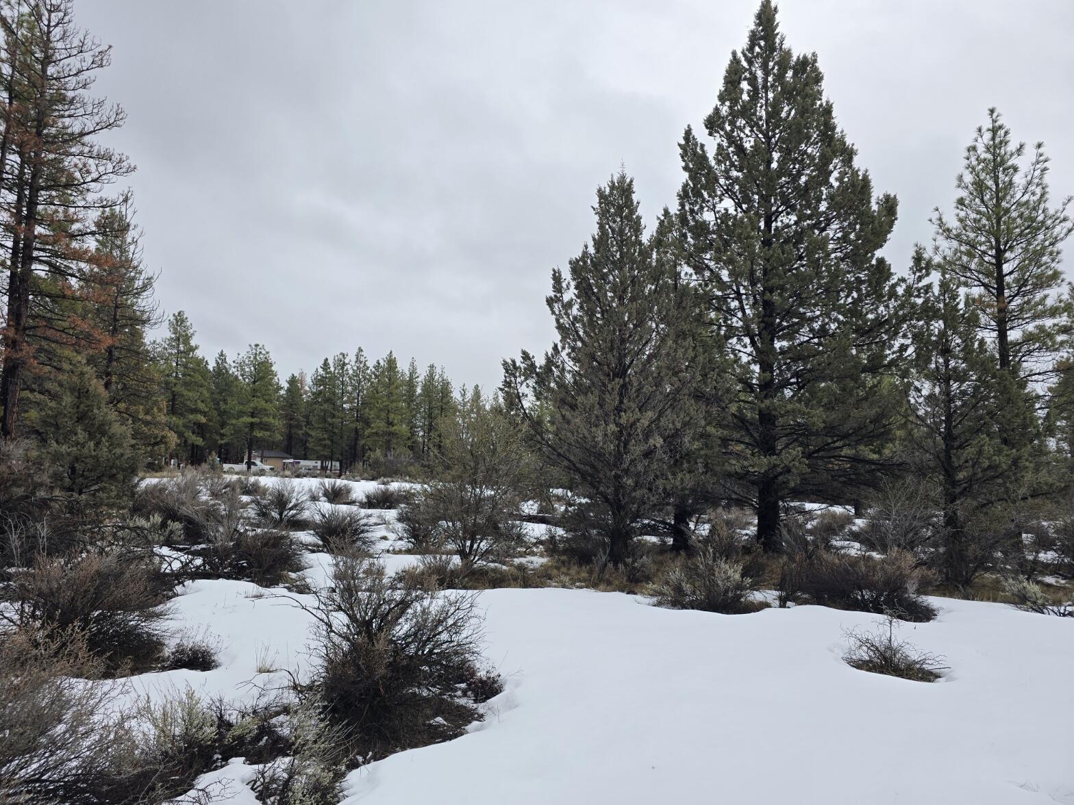 Klamath Forest Estates -First Addition - Land