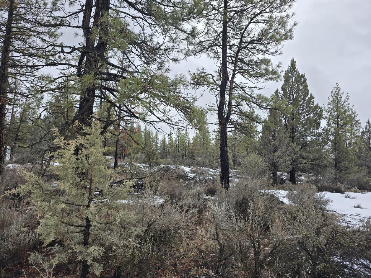 Klamath Forest Estates -First Addition - Land