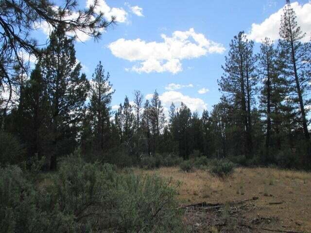 Klamath Forest Estates -First Addition - Land