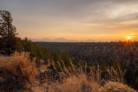 Photo of 69740 McKenzie Canyon Road, Sisters, OR 97759 (MLS # 220209249)