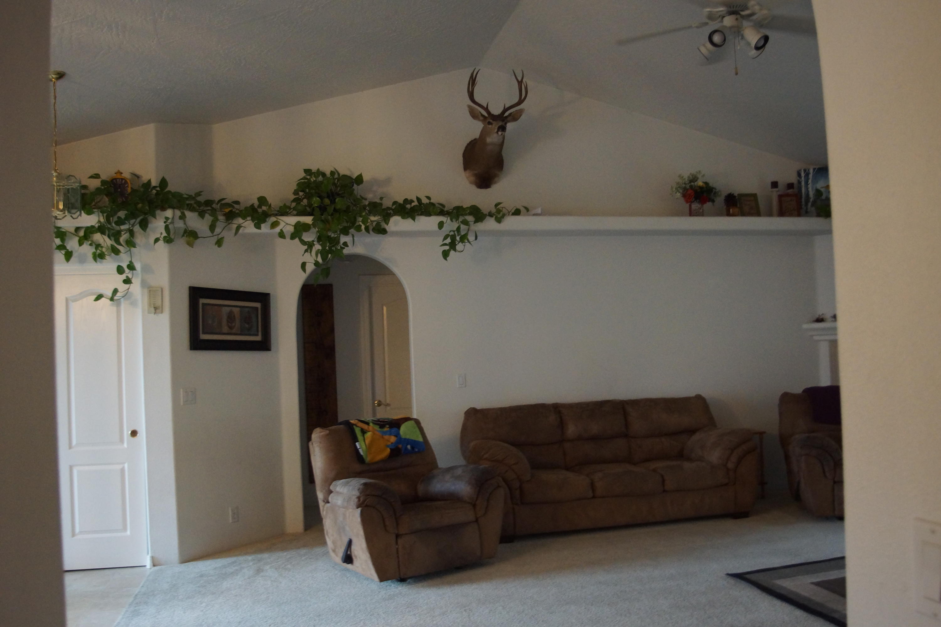 Allen Creek Meadows - Residential