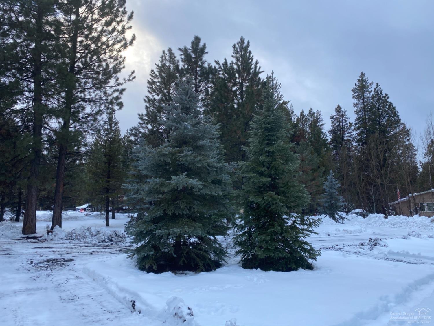 Tall Pines - Residential