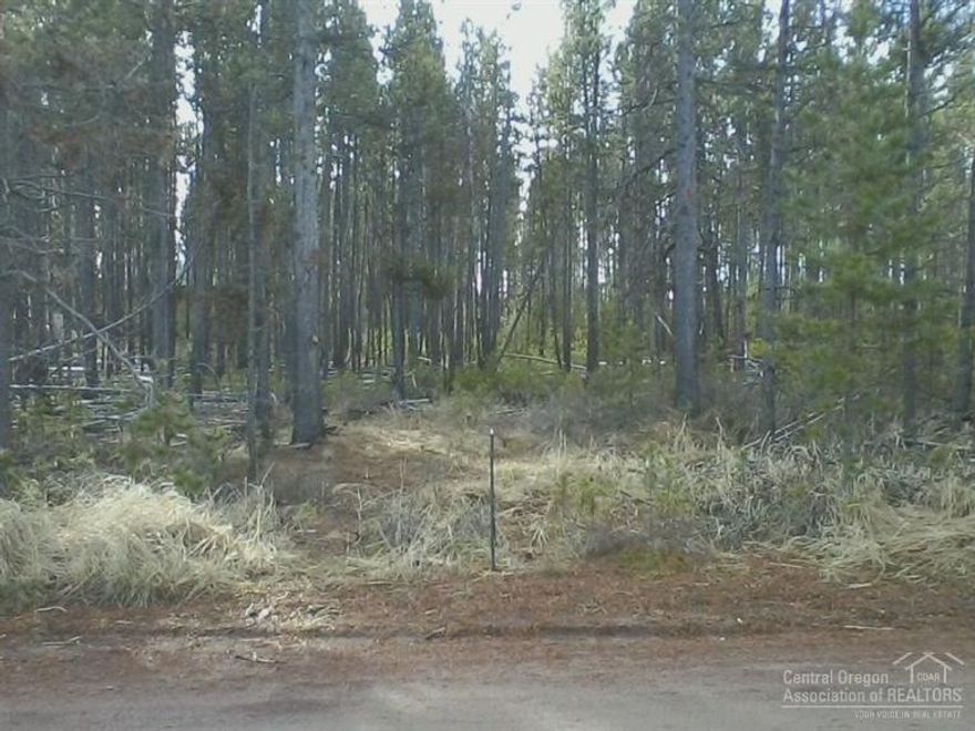 Nicely forested. Quiet, gently sloping terrain. Excellent access year round. Wonderful neighborhood. Several nice building sites.