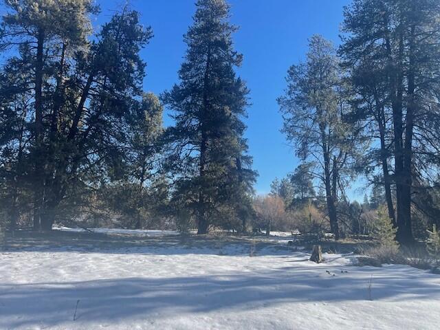 Deschutes River Acre - Land