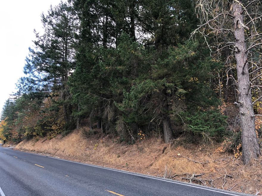 If your looking for an opportunity this might be the one. The property is located in the beautiful rural Williams Hwy in Josephine County.
Two separate legal parcels 3.92 acres and 10 acres for a total of 13.92 acres zoned RR5.
Bare land only.. no water, septic or homesite. Power is close as there is a neighbor on each side.
Buyer to do their own due diligence on possible marketable timber. The terrain is hillside.