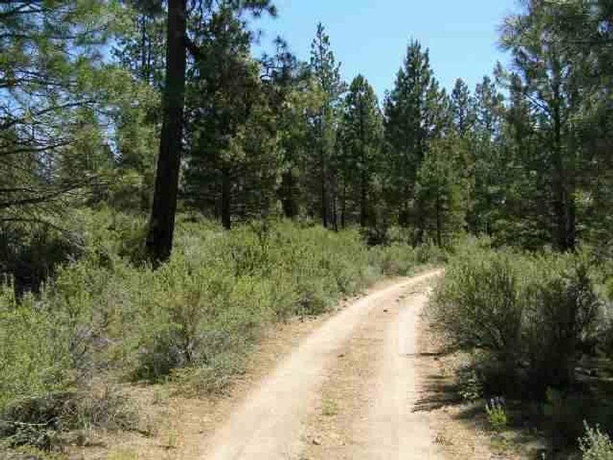 This Lot Adjoins #56524 For A Total Of Approx. 3.16 Acres. This Is A Rather Remote Parcel With No Power And Limited Winter Access Due To Lack Of All Weather Roads At The Present Time And No Snow Removal.