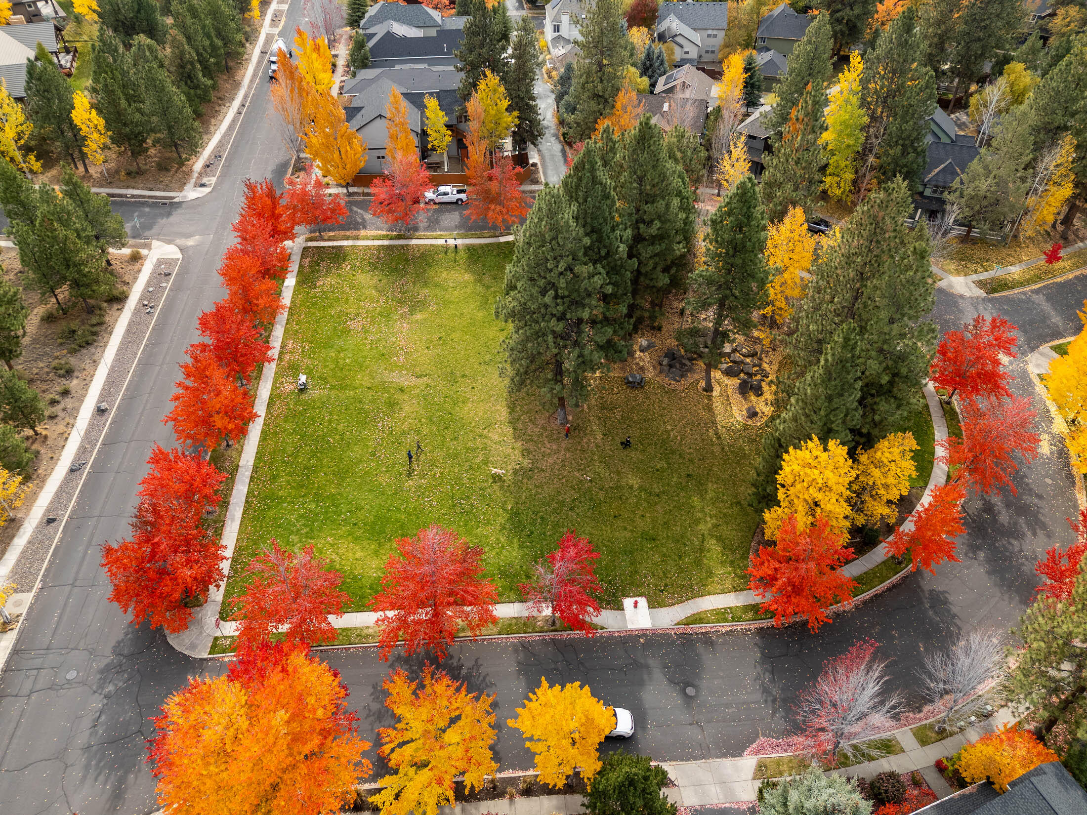 Skyliner Summit - Residential