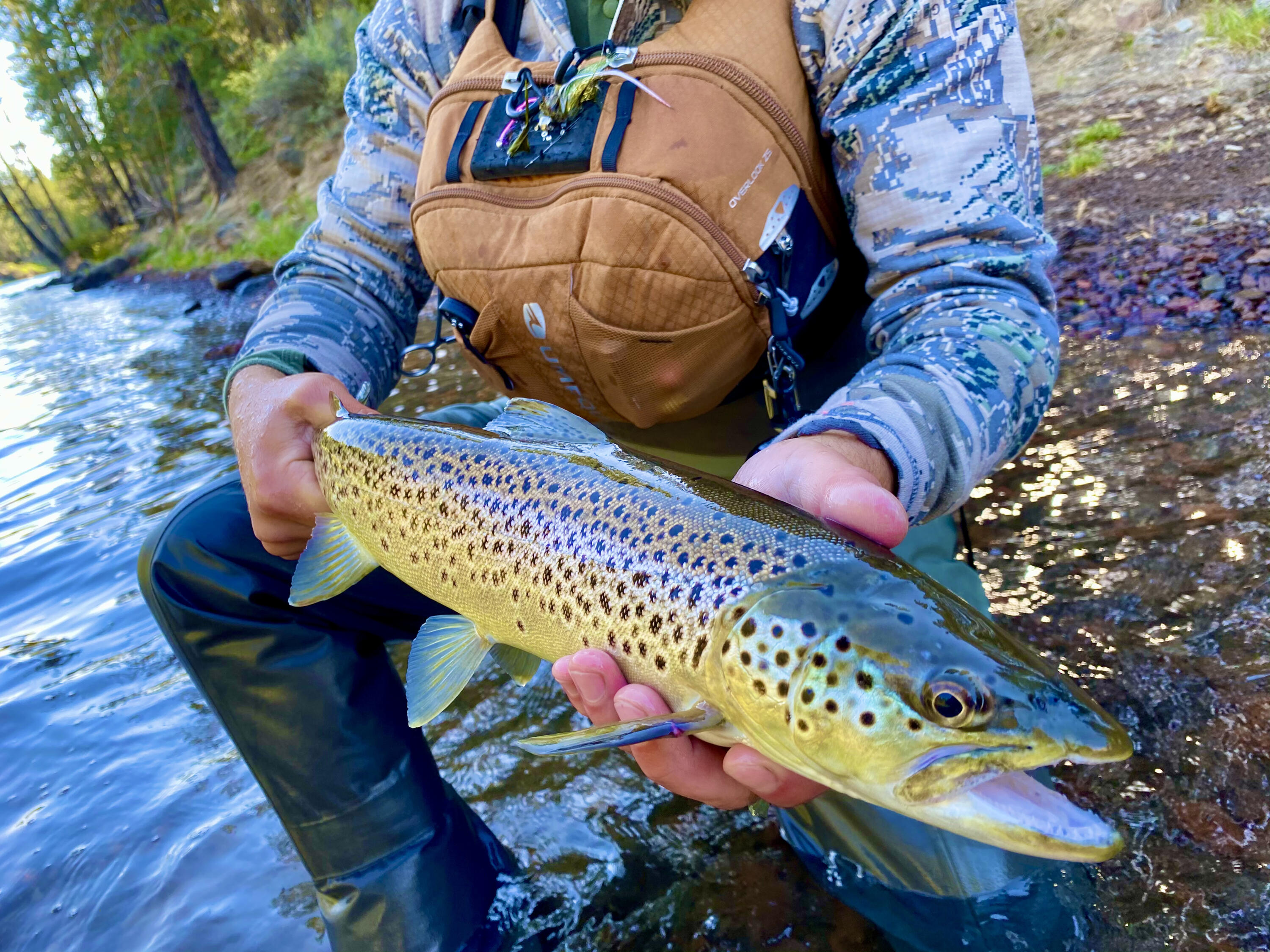 Eastside - Residential