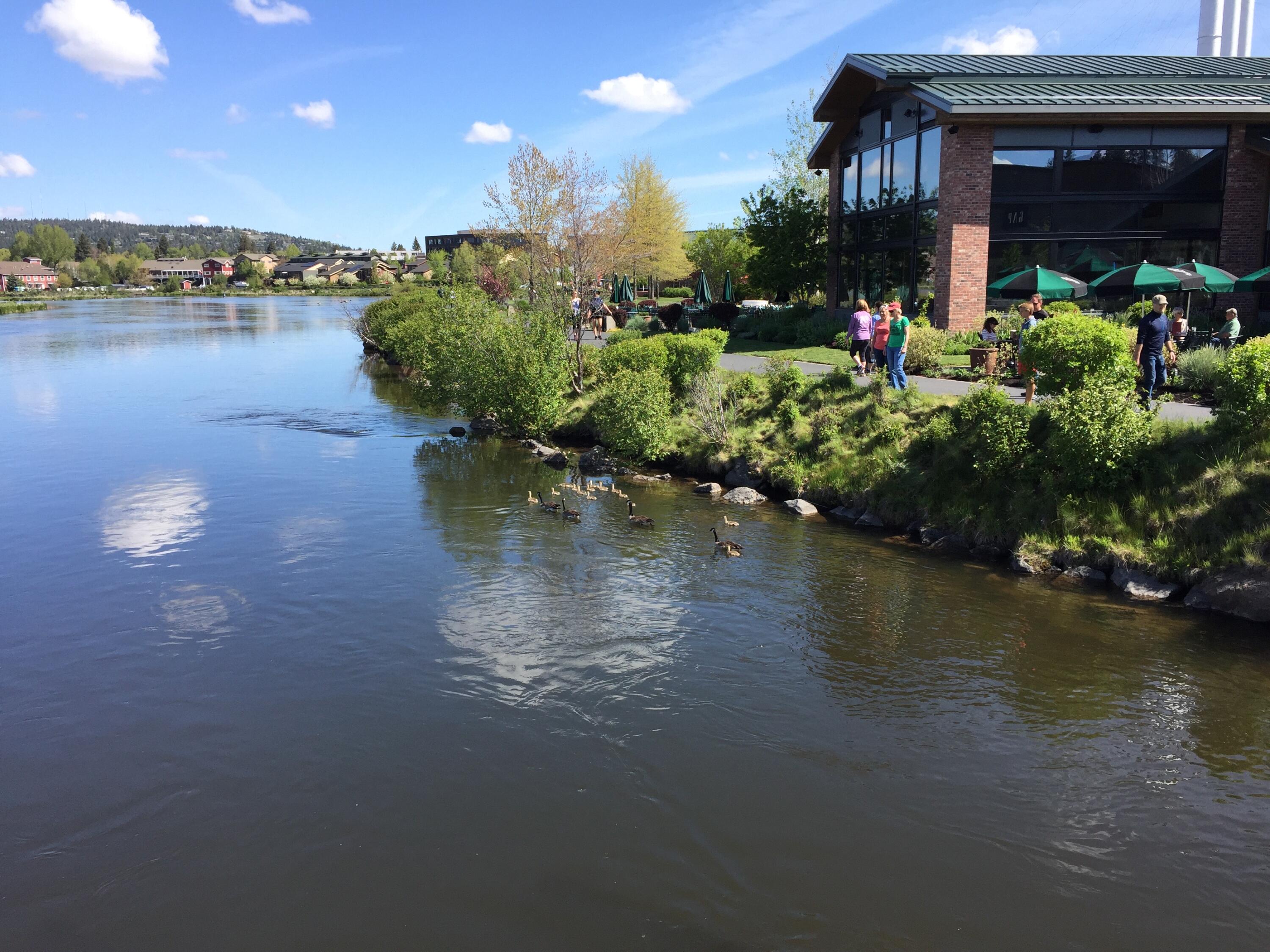 Eastside - Residential