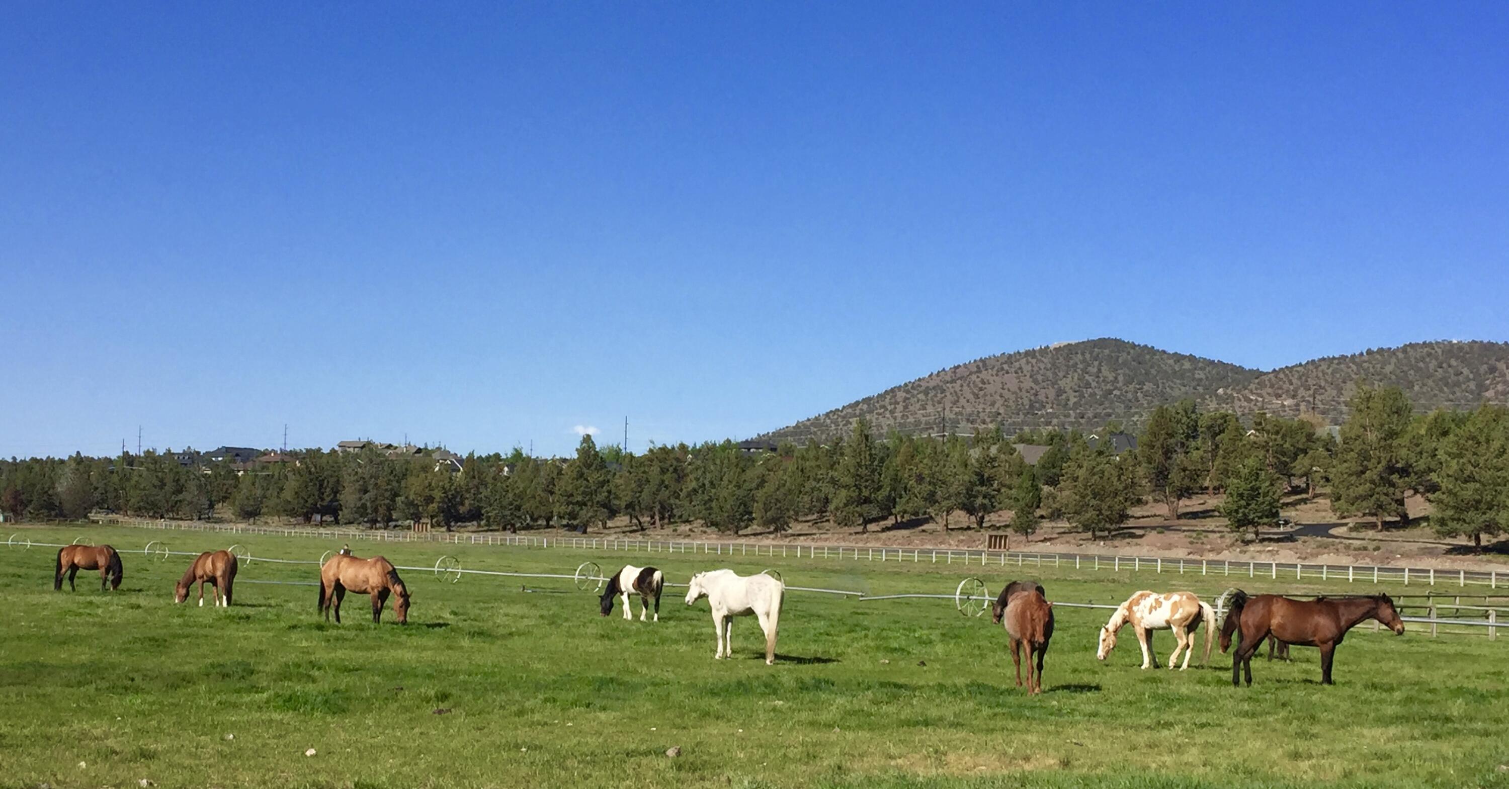 Eastside - Residential