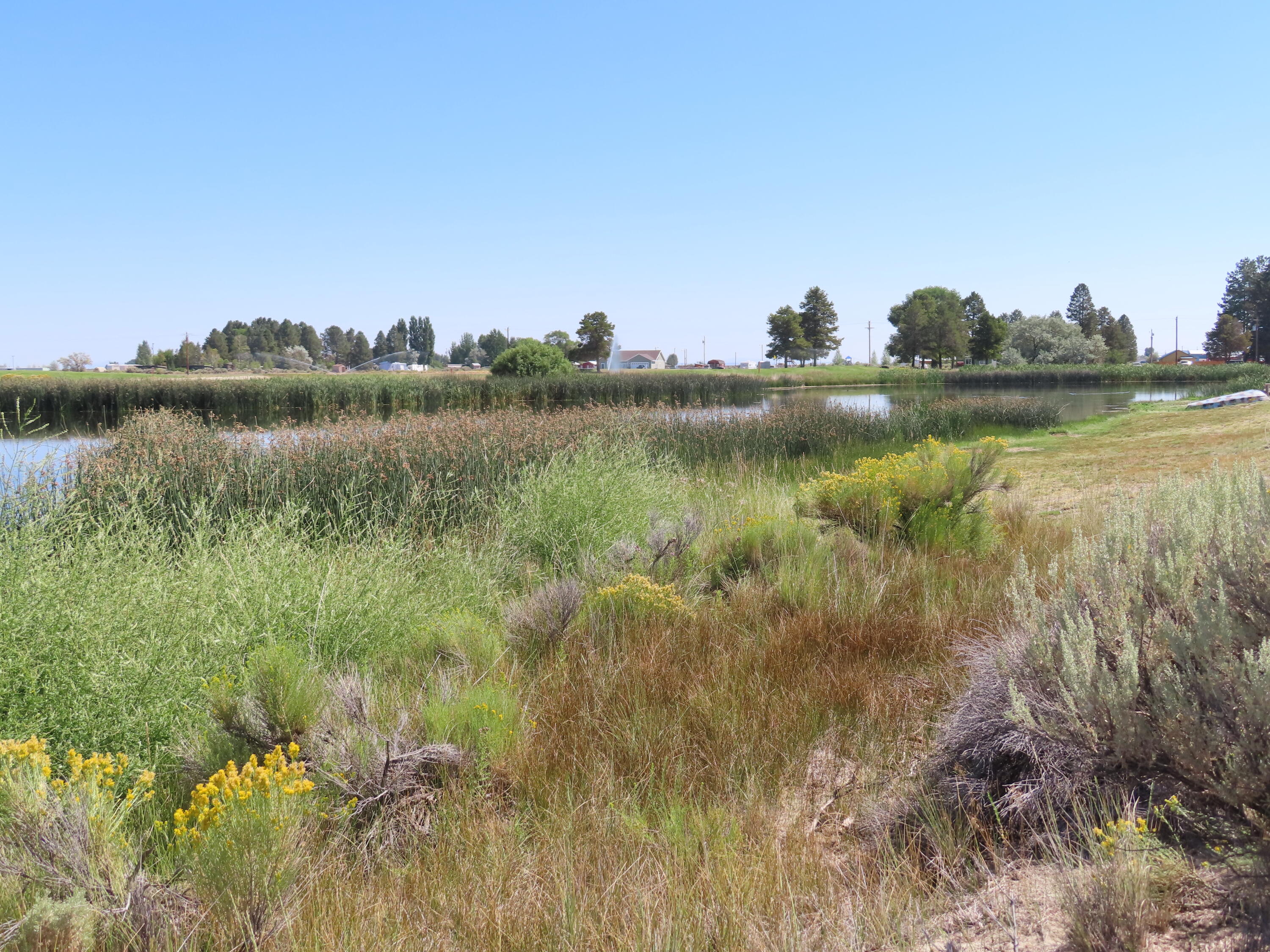 Christmas Valley Unit11 - Land