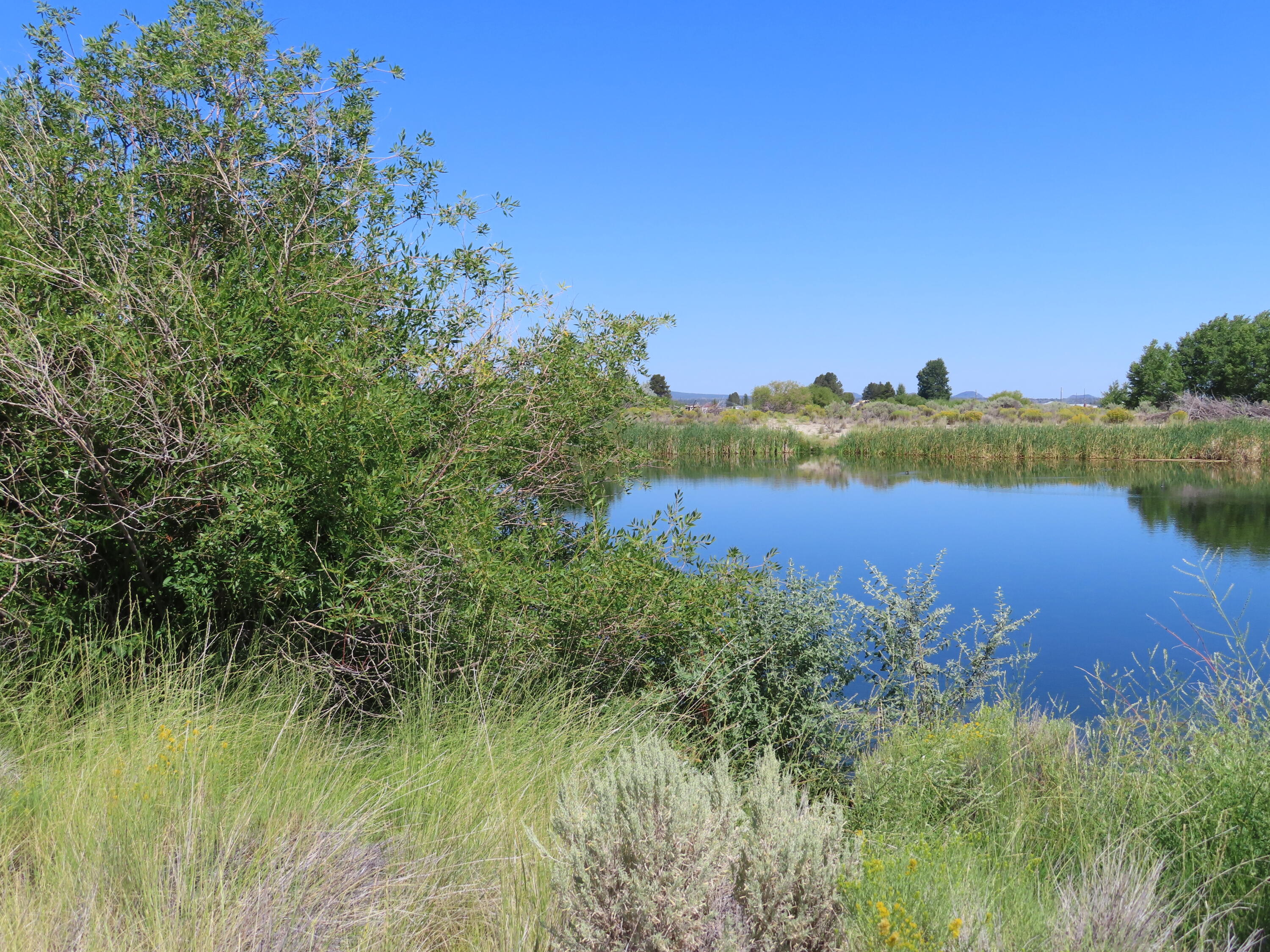 Christmas Valley Unit11 - Land