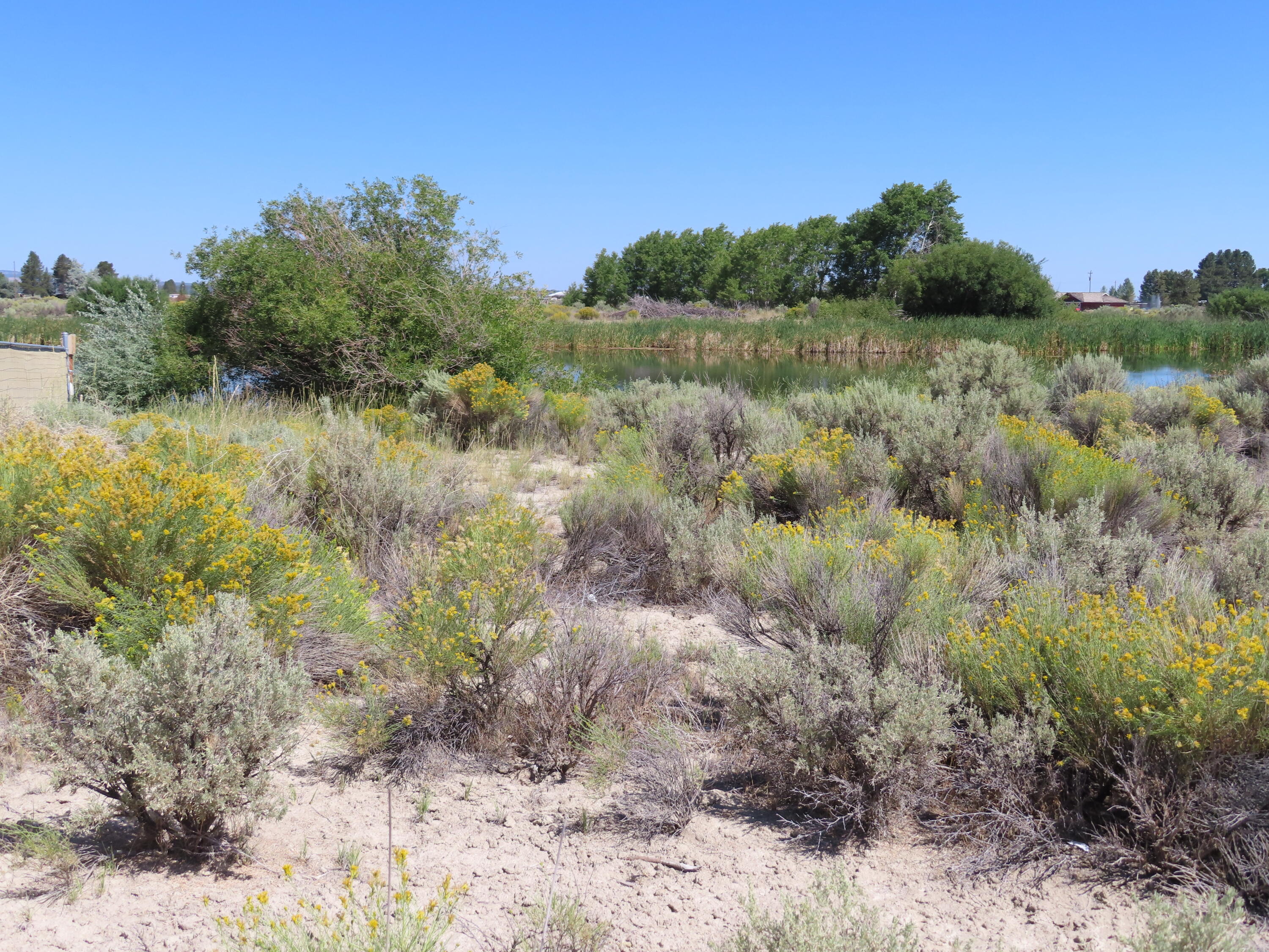 Christmas Valley Unit11 - Land