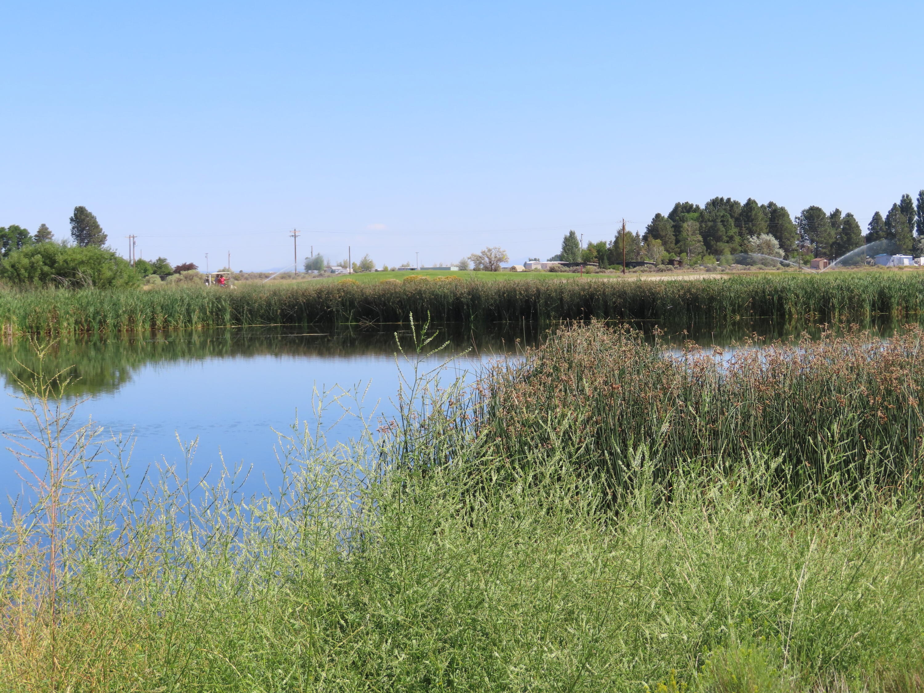 Christmas Valley Unit11 - Land