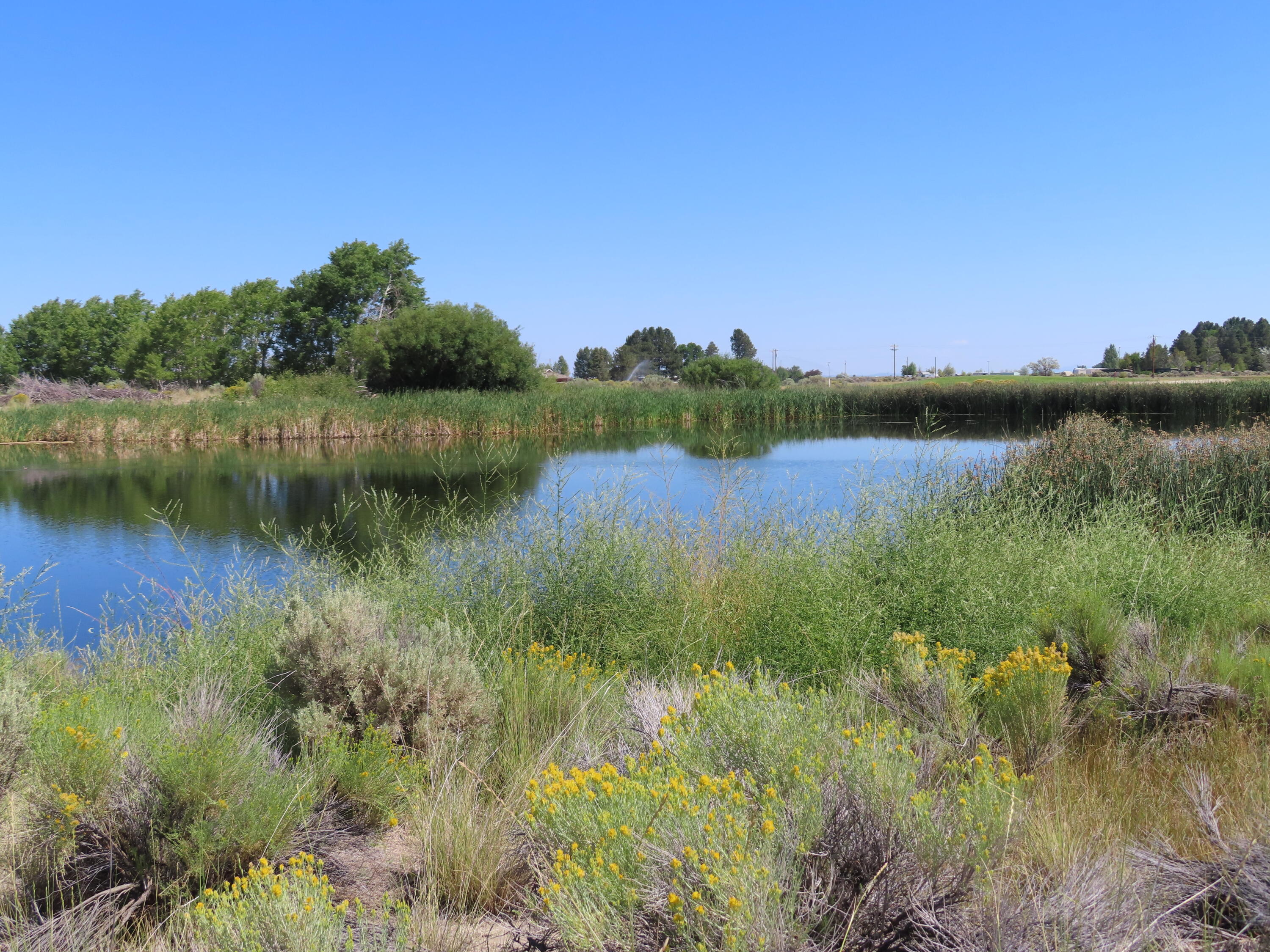 Christmas Valley Unit11 - Land