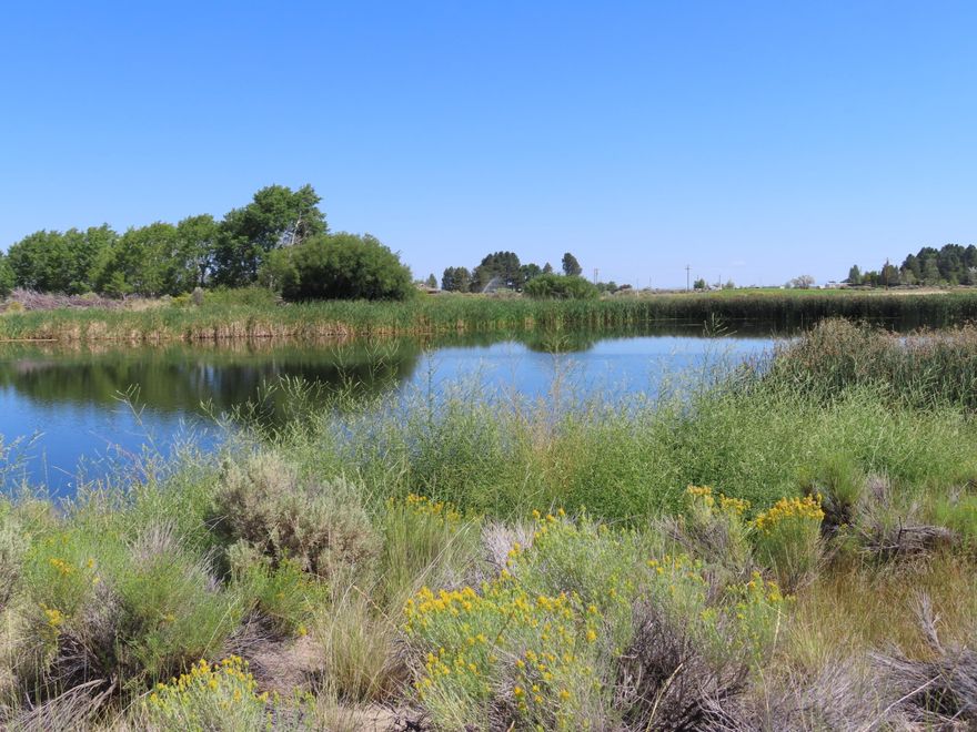 A little over a third of an acre lakefront home site perfect for building your dream home. The septic system is already installed and power is readily available. Public water can easily be connected from the street. Relax and enjoy stunning sunsets from your deck while watching the frequent visits of waterfowl on the lake. The location also provides a view of the nearby golf course. The lot is conveniently situated near stores, gas stations, credit unions, and multiple restaurants. It is the buyer's responsibility to perform their due diligence.