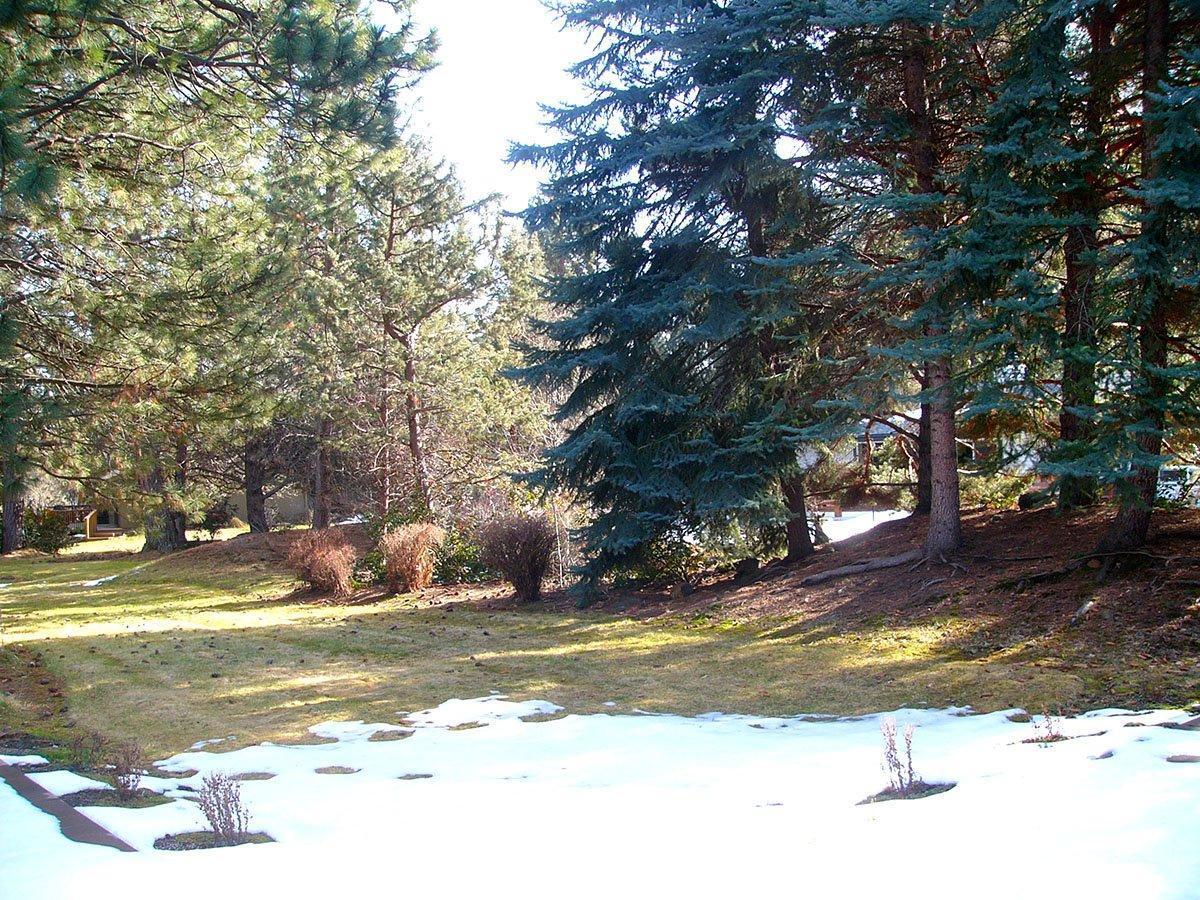 Timber Ridge - Residential