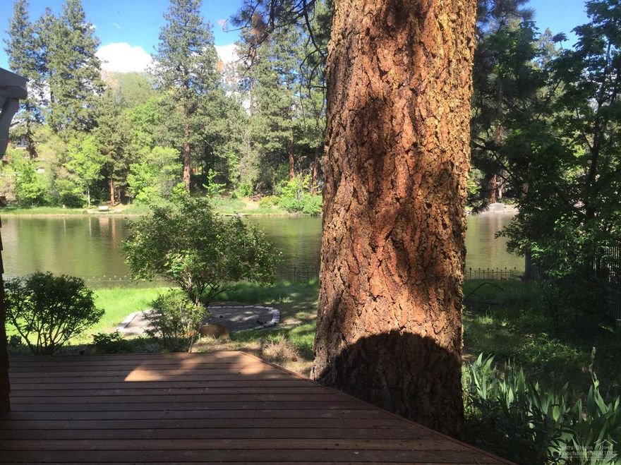 Spectacular cottage on the river! Custom built single level craftsman style cottage with sweeping riverfront views. Open great room and kitchen plan, beautiful finishes, perennial gardens. One of a kind. For Comps Only.