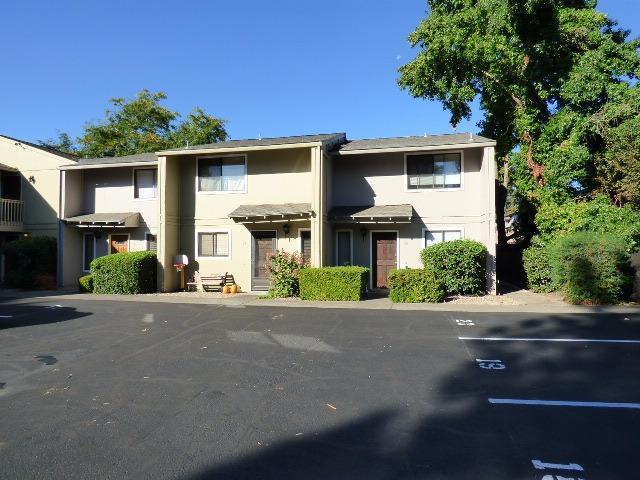 Willow Tree - Residential