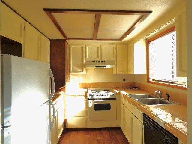 Willow Tree - Residential