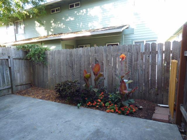 Willow Tree - Residential