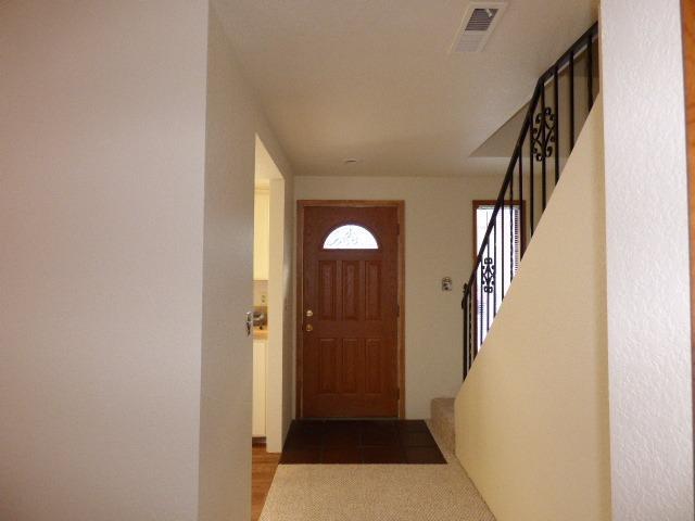 Willow Tree - Residential