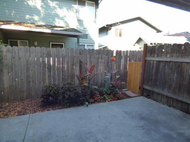 Willow Tree - Residential