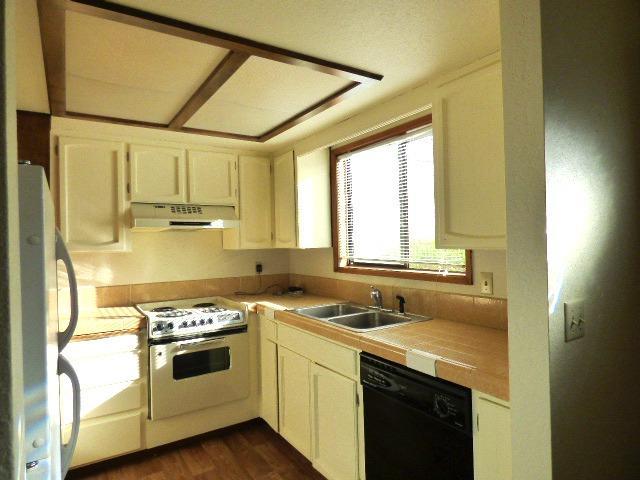 Willow Tree - Residential